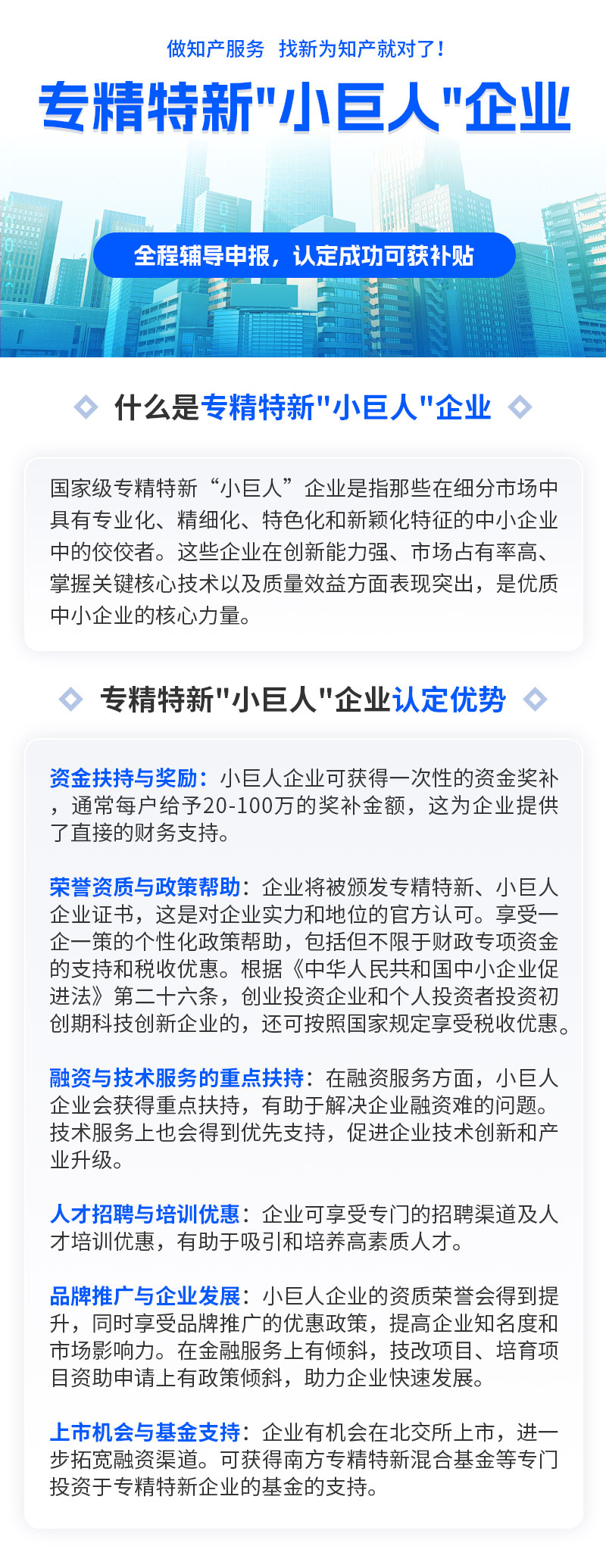 6国家级专精特新小巨人企业认定.jpg