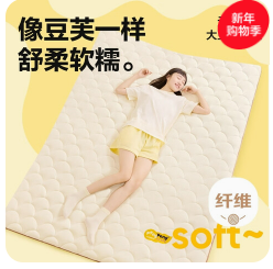 网易严选床垫（119积分）