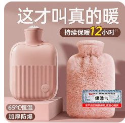 领臣 热水袋注水暖水袋（14积分）