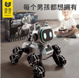 淘淘天才男孩生日新年礼物（139积分）