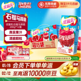 伊利优酸乳 石榴马蹄脆（24积分）